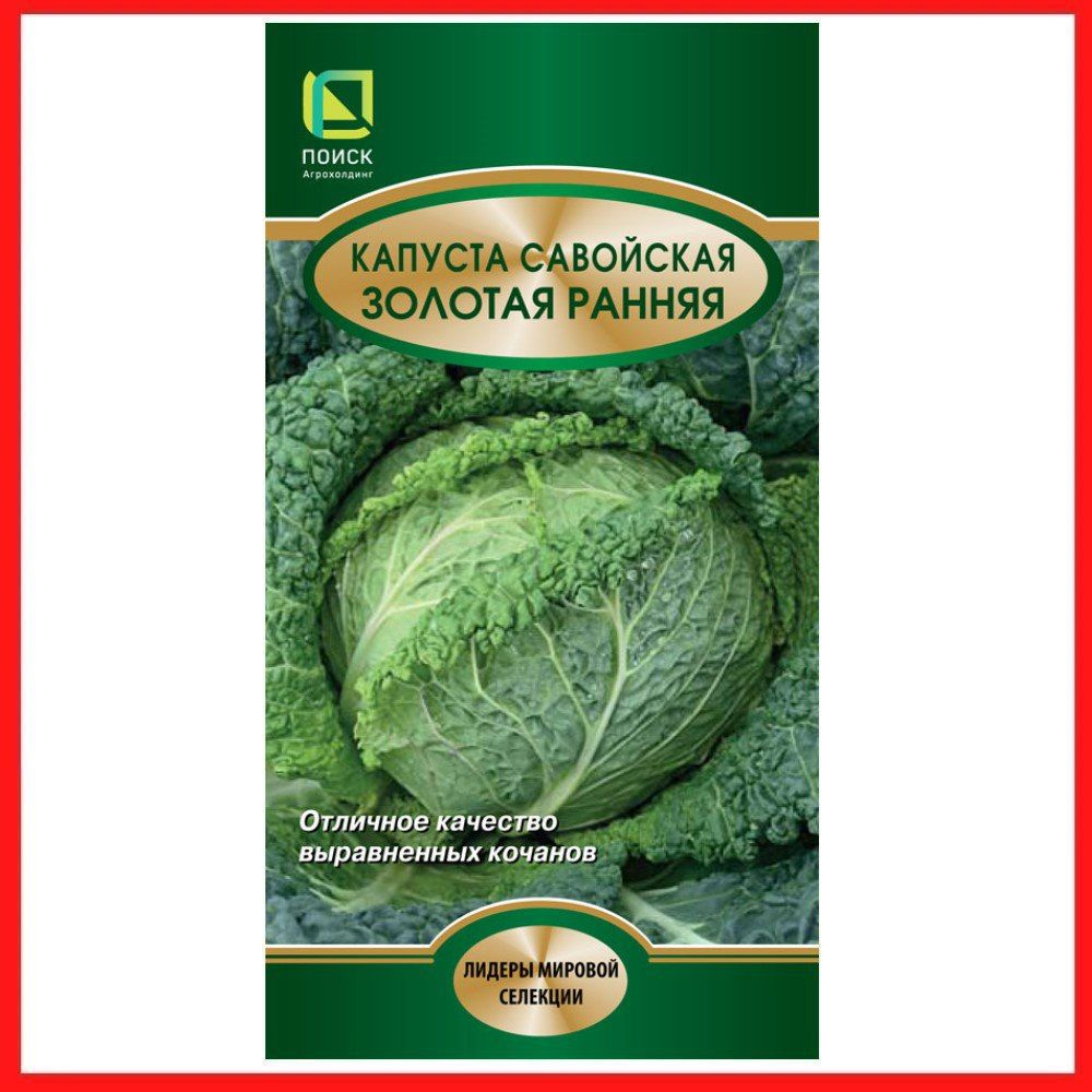Семена Капуста савойская "Золотая ранняя" 0,5 гр, овощи для дома, дачи и огорода, на рассаду, из семян, #1