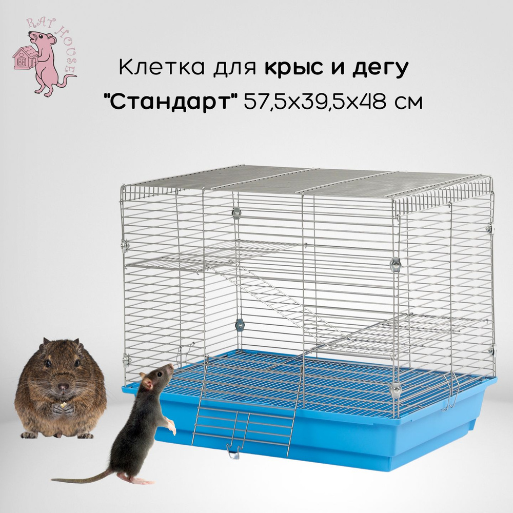 Rat House Клетка для Дегу и крыс "Стандарт" 57,5х39,5х48 см, синяя  #1