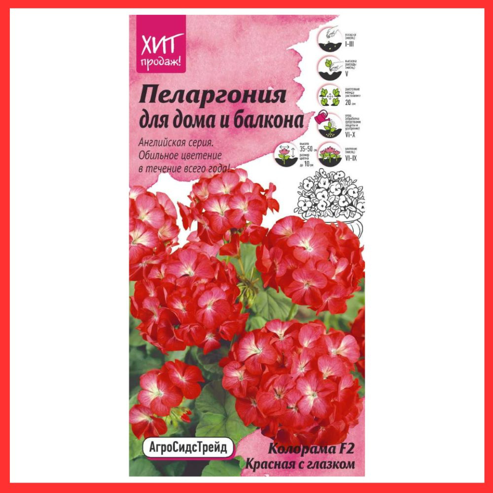 Семена цветов многолетних Пеларгония ( Герань ) Колорама f2 красная / Для дома , балкона , подоконника #1