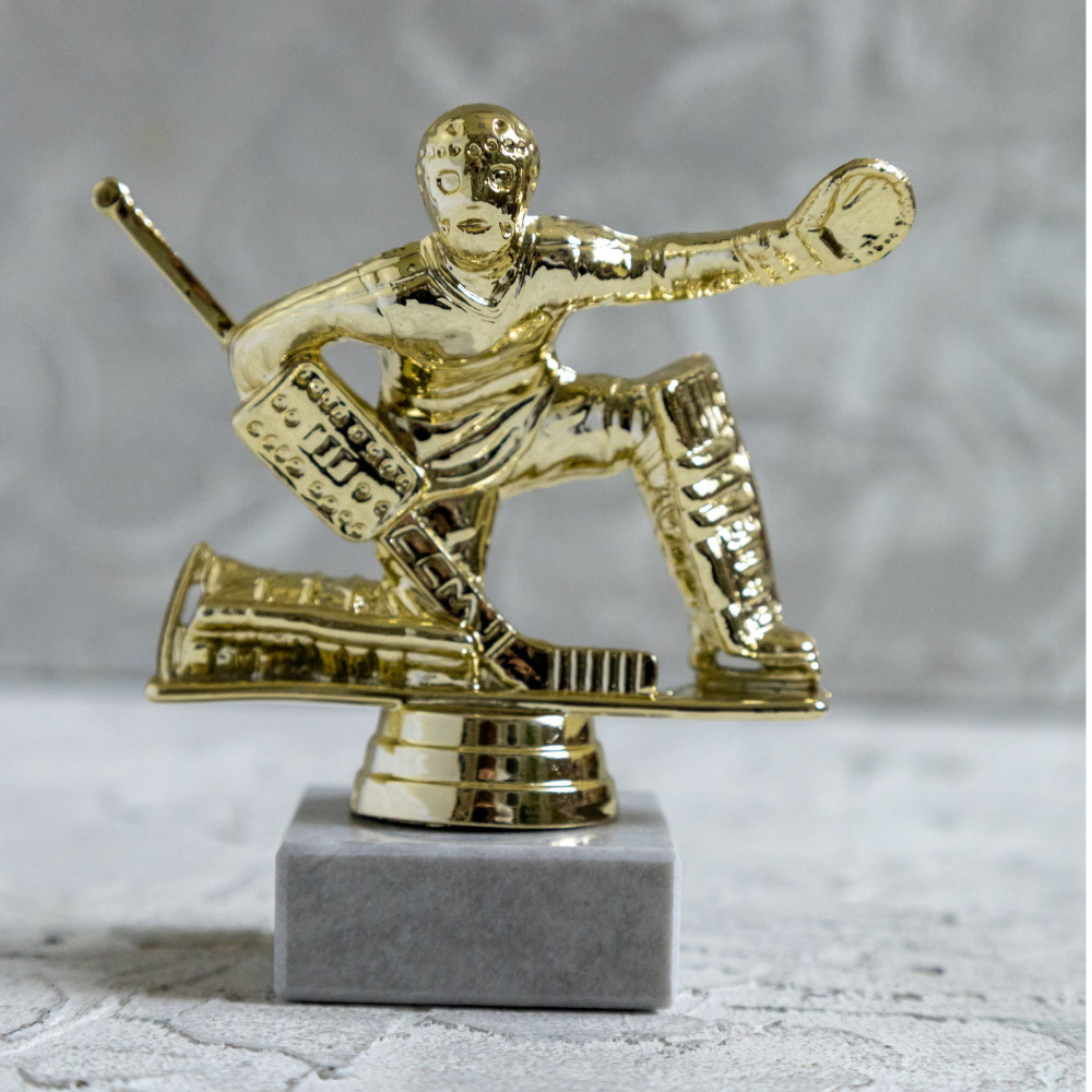 Награда "Хоккейный вратарь" #1