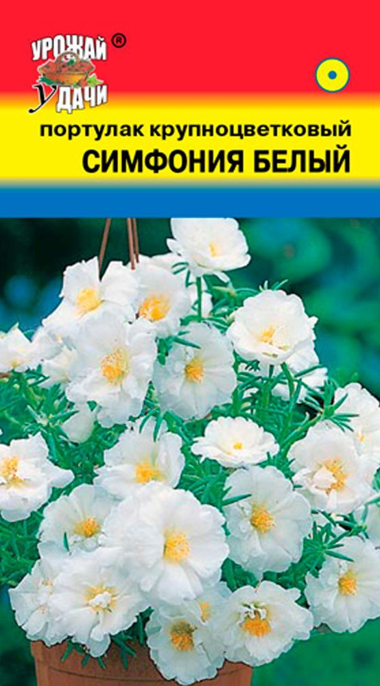 Портулак крупноцветковый СИМФОНИЯ БЕЛЫЙ (Семена УРОЖАЙ УДАЧИ, 0,05 г семян в упаковке)  #1