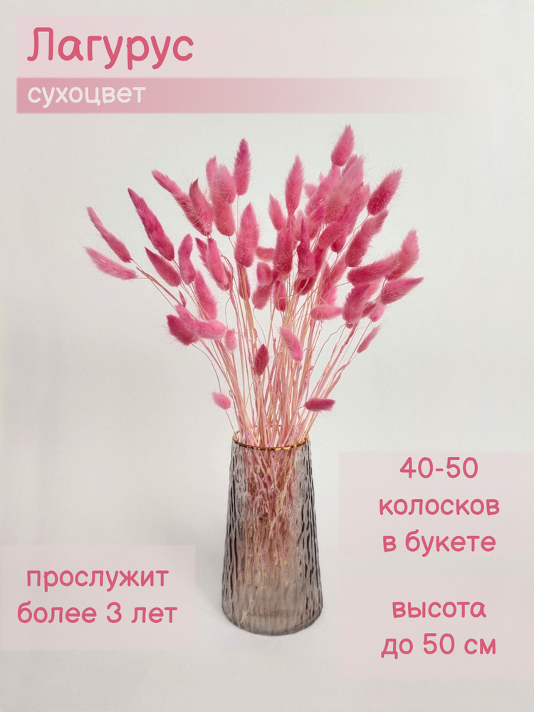 Сухоцветы Лагурус, 50 см, 100 гр, 50 шт #1