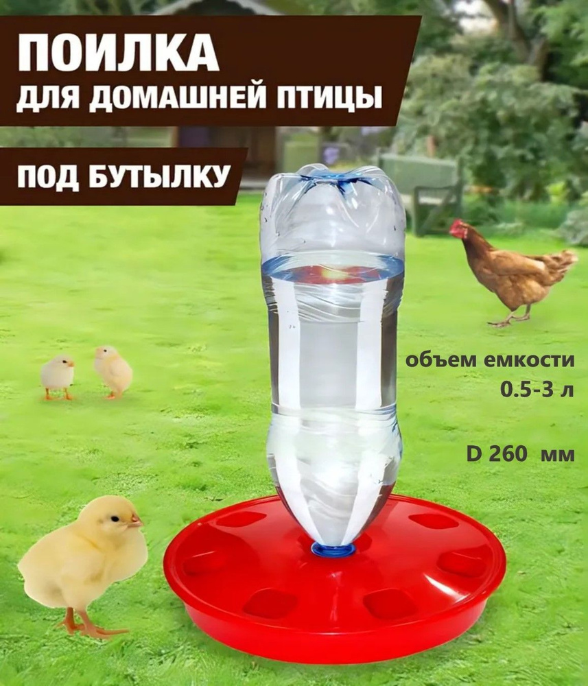 Поилка для домашней птицы под бутылку (d 260мм) объемом от 0,5 до 3 л, для выращивания домашних птиц: #1