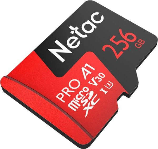 Карта памяти Netac P500 Extreme Pro 256GB NT02P500PRO-256G-R с адаптером #1