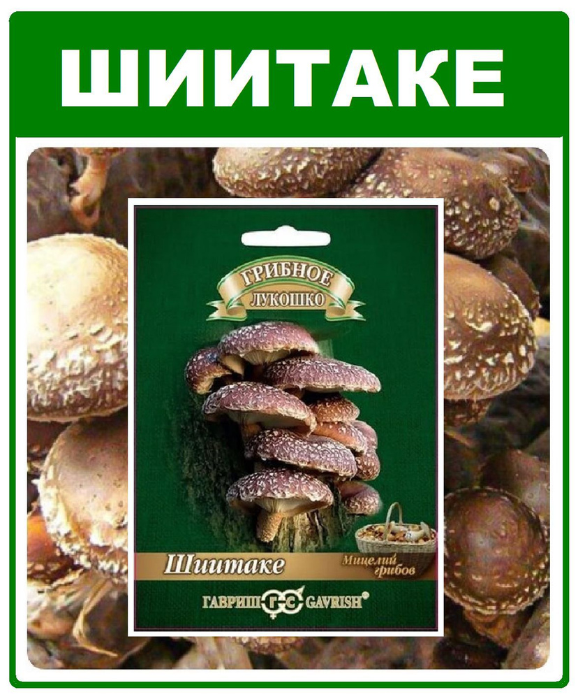 Грибы Шиитаке мицелий грибов на палочке 12шт. Гавриш #1