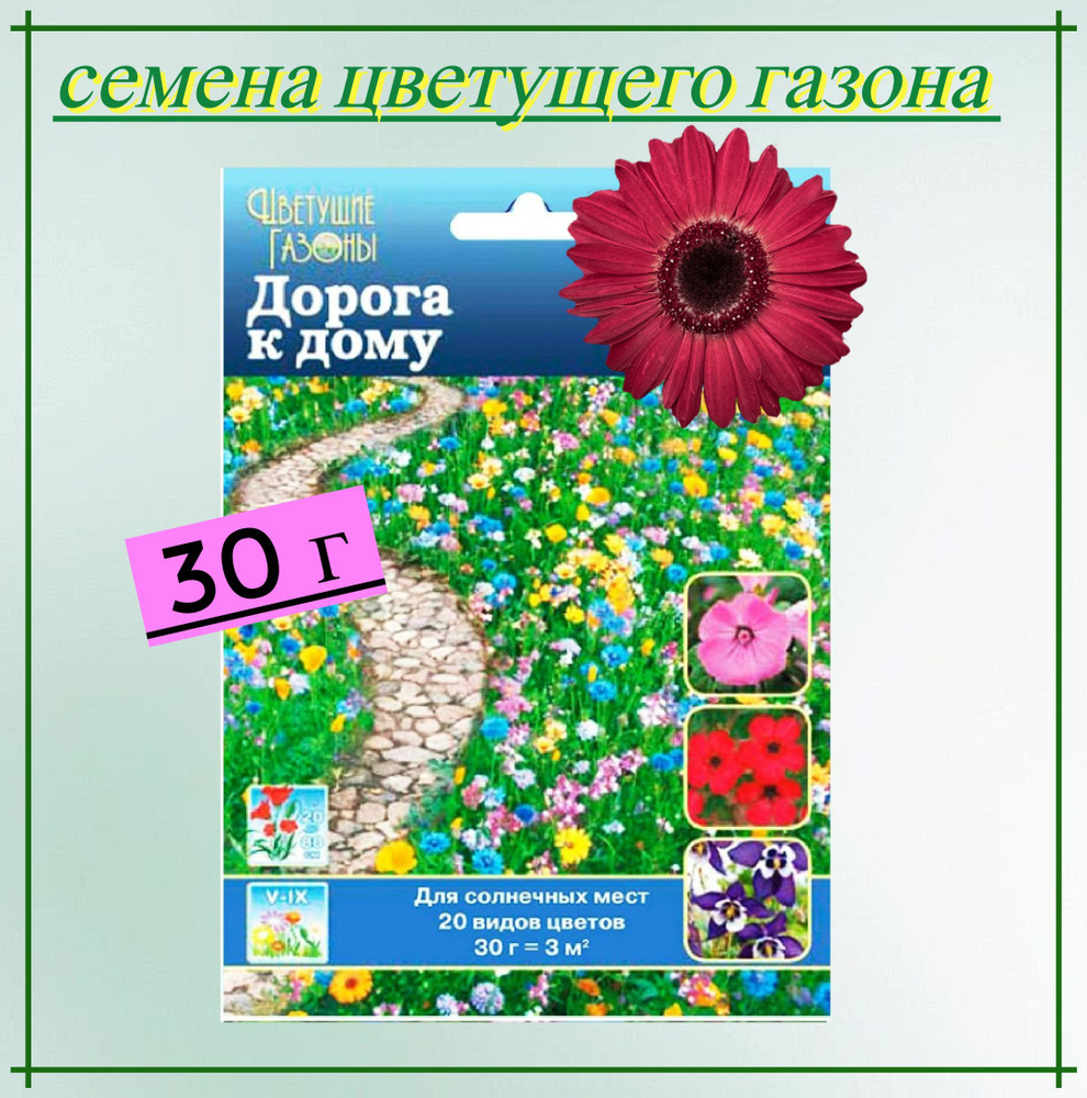 Газон цветущий "Дорога к дому" 30 г, семена. Светолюбивая травяная смесь с ароматными бутонами подойдет #1