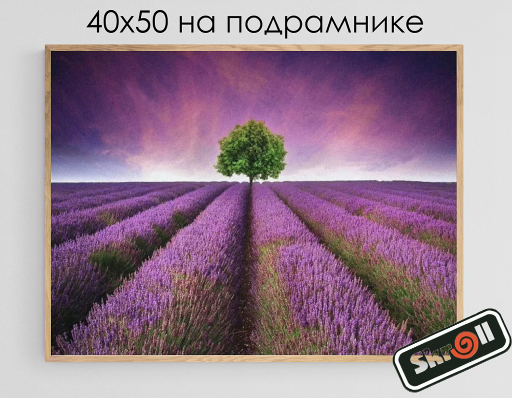 Алмазная мозаика на подрамнике, 40х50 см, " Лавандовое поле ", сложность 4, цветов 24/ Skroll  #1