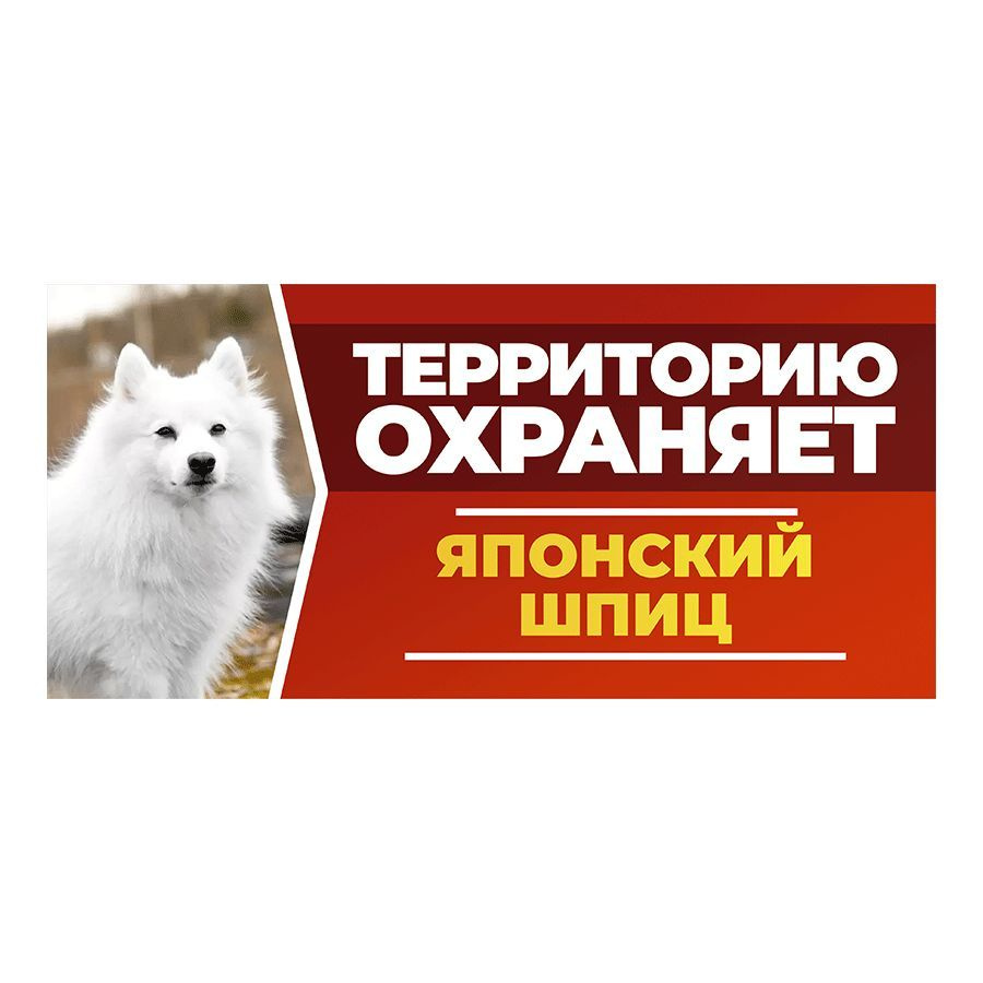 Табличка, DANGER DOG, Японский шпиц, на забор, 30см х 14см #1