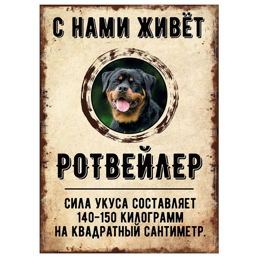 Табличка, декоративная, DANGER DOG, С нами живет Ротвейлер, 18см х 25см  #1