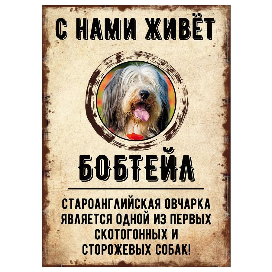 Табличка, декоративная, DANGER DOG, С нами живет Бобтейл, 18см х 25см  #1