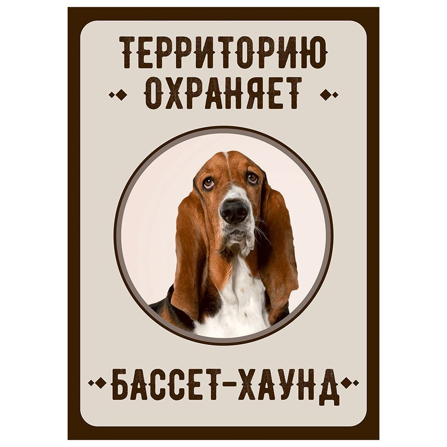 Табличка, Злая собака, Территорию охраняет Бассет хаунд, на металлической основе, 18см х 25 см, на забор, #1