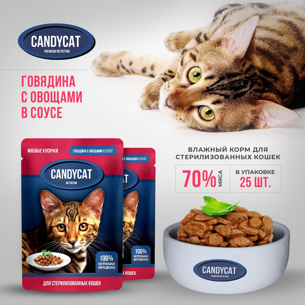 Влажный корм для кошек Candycat, Говядина с овощами, для кастрированных и стерилизованных, 25 шт по 85 #1