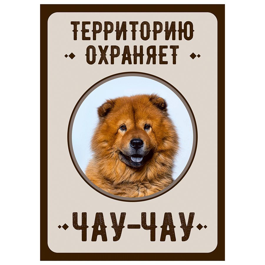 Табличка, Злая собака, Территорию охраняет Чау чау, на металлической основе, 18см х 25 см, на забор, #1