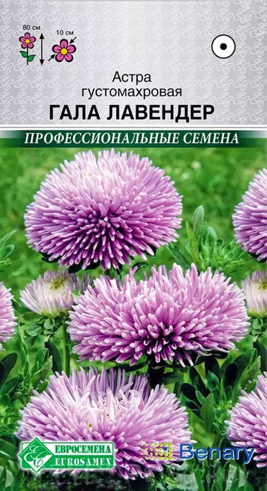 Астра ГАЛА Лавендер густомахровая, 1 пакет, семена 10 шт, Евросемена  #1