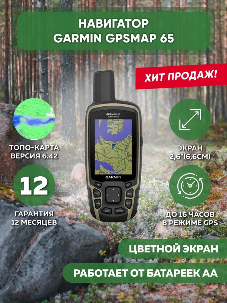 Навигатор Garmin GPSMAP 65, Multi-Band Russia (010-02451-01) #1