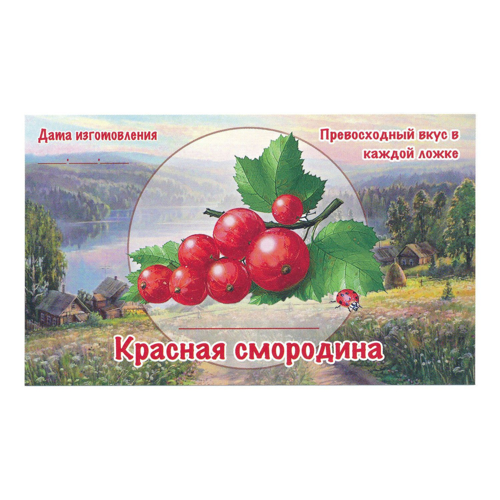 Этикетка наклейка самоклеящаяся на банки для домашнего консервирования "Красная Смородина" 100*60 мм, #1