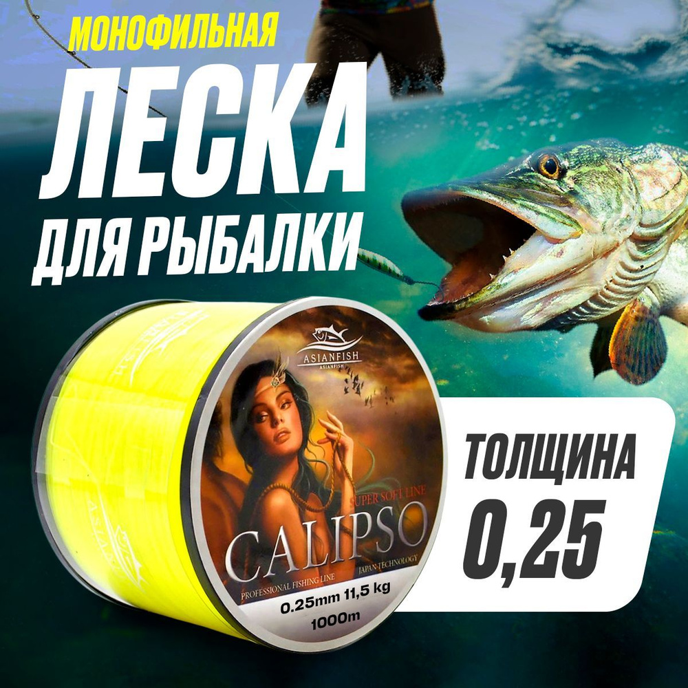 ASIANFISH Монофильная леска для рыбалки, размотка: 1000 м, толщина: 0.25 мм  #1