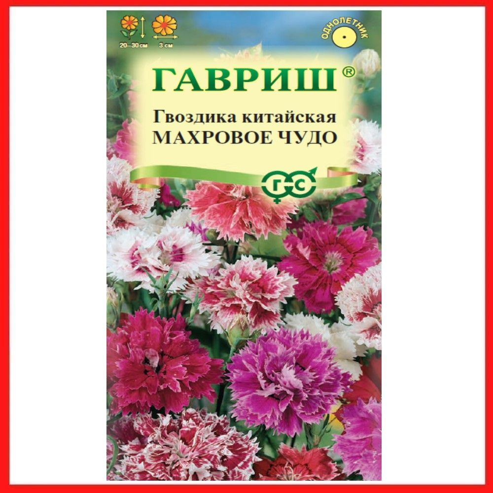 Семена Гвоздика китайская "Махровое чудо" смесь 0,05 гр, однолетние цветы для дачи, сада и огорода, клумбы, #1