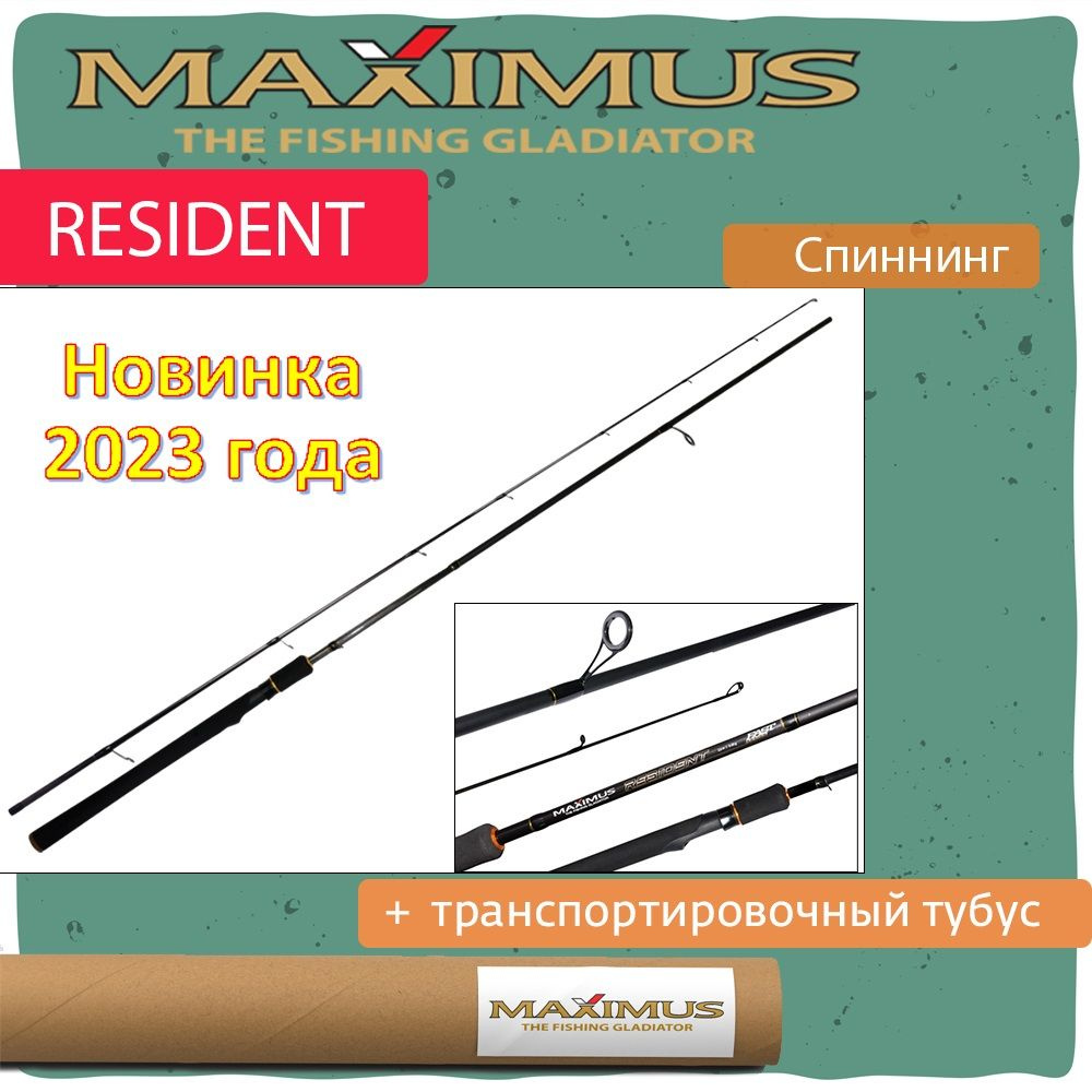 Спиннинг для рыбалки Maximus RESIDENT 24H 2,4m 20-60g #1