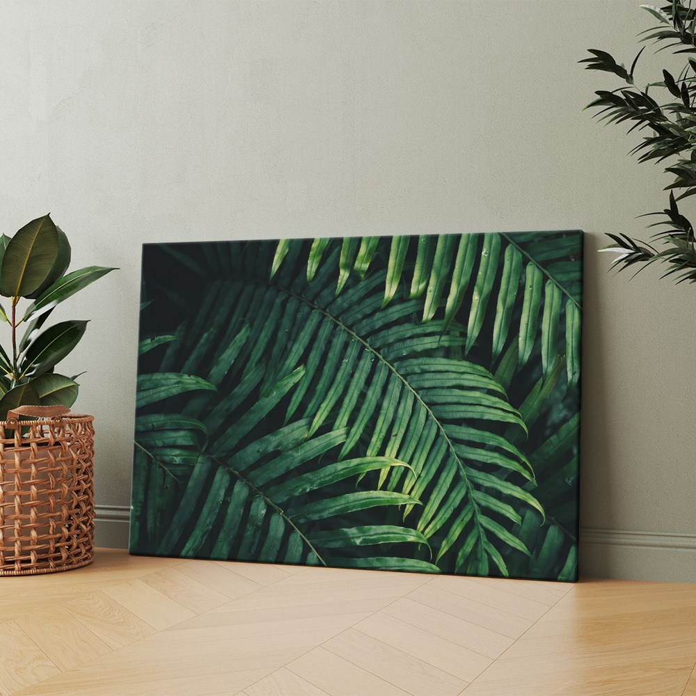 Картина на холсте (Тропические листья, растения, джунгли, фон) 40x60 см.  Интерьерная, на стену. - купить по низкой цене в интернет-магазине OZON  (1104184821)