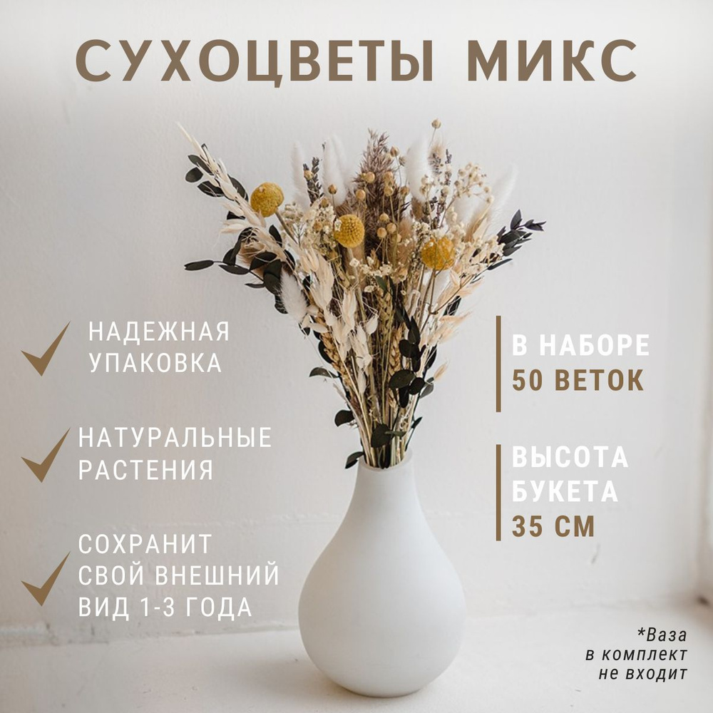 Магазин флористики сухоцветы купить недорого