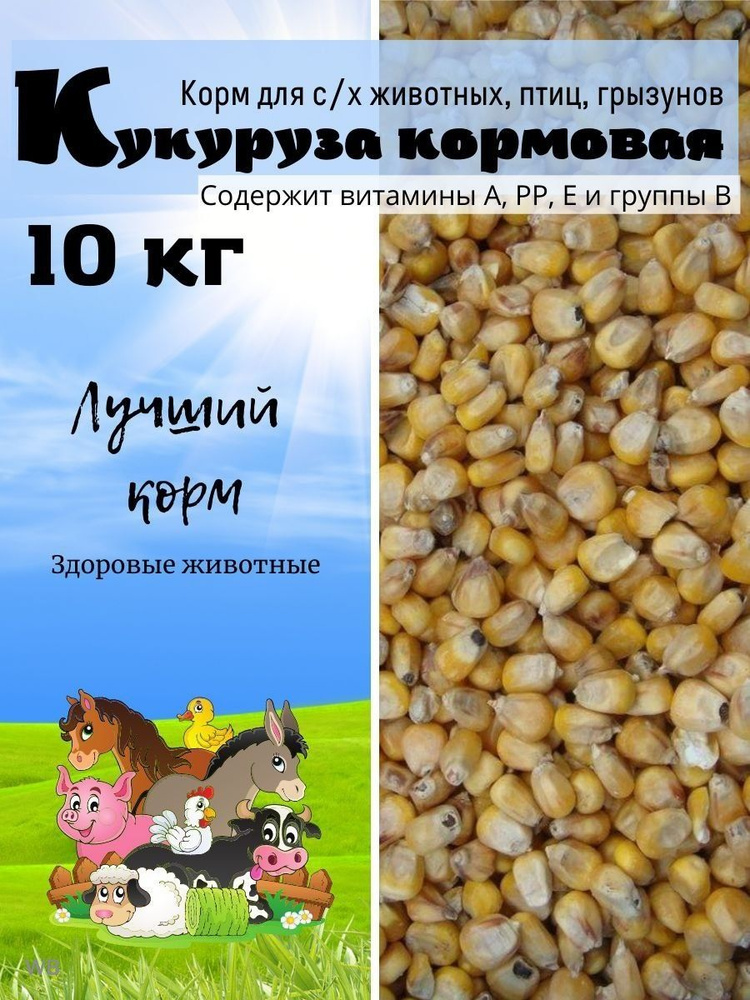 Кукуруза кормовая 10 кг (Цельное зерно). #1