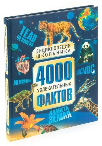 4000 увлекательных фактов. Энциклопедия школьника. Товар уцененный | Фарндон Джон  #1