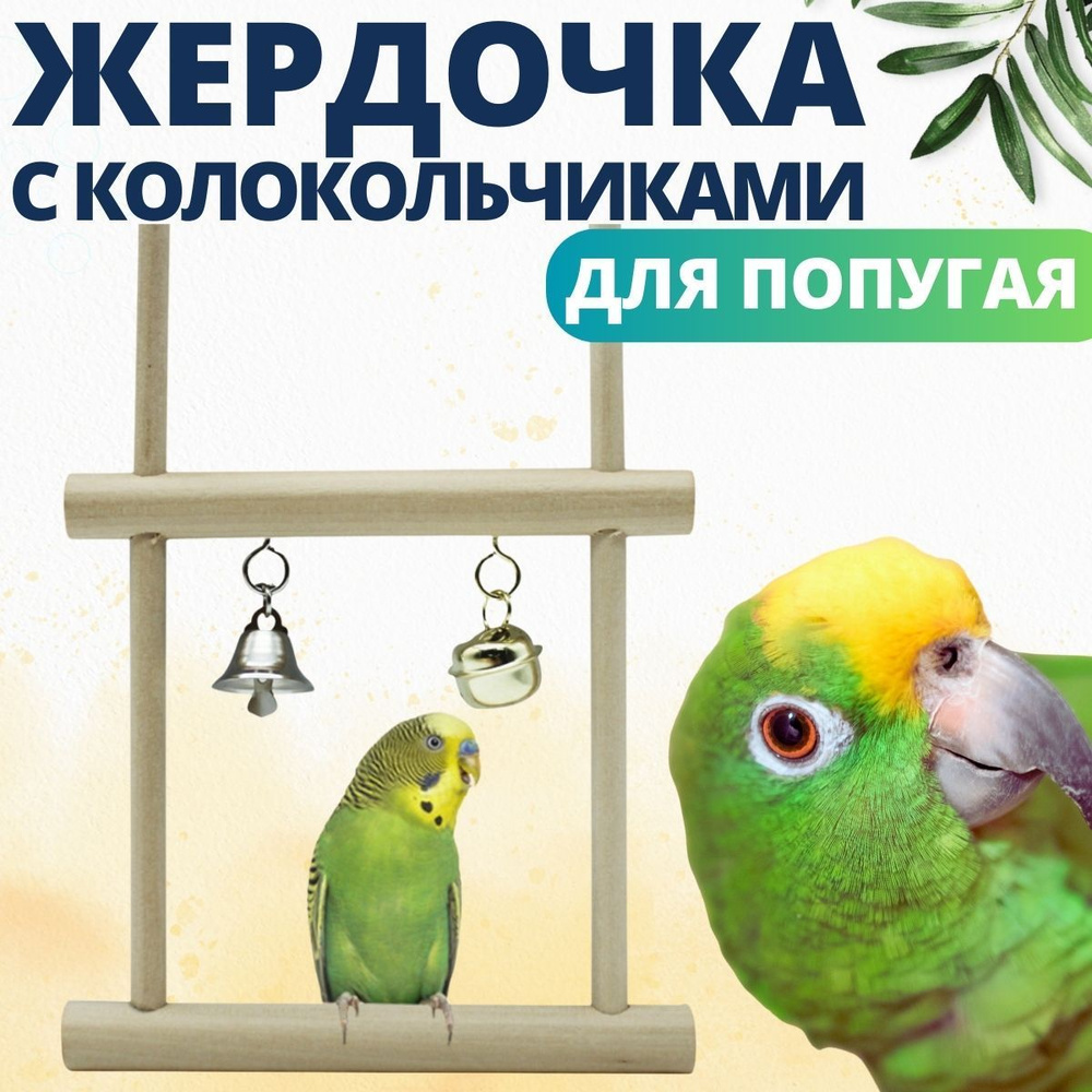 Качели для попугаев и птиц, жёрдочка для попугая, игрушка с колокольчиком для птиц  #1