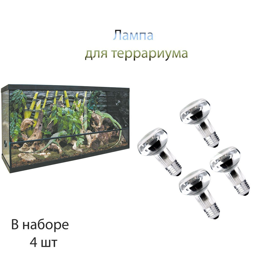 Для террариума лампа 4 шт для террариума черепах/ ящериц рептилий декор  #1
