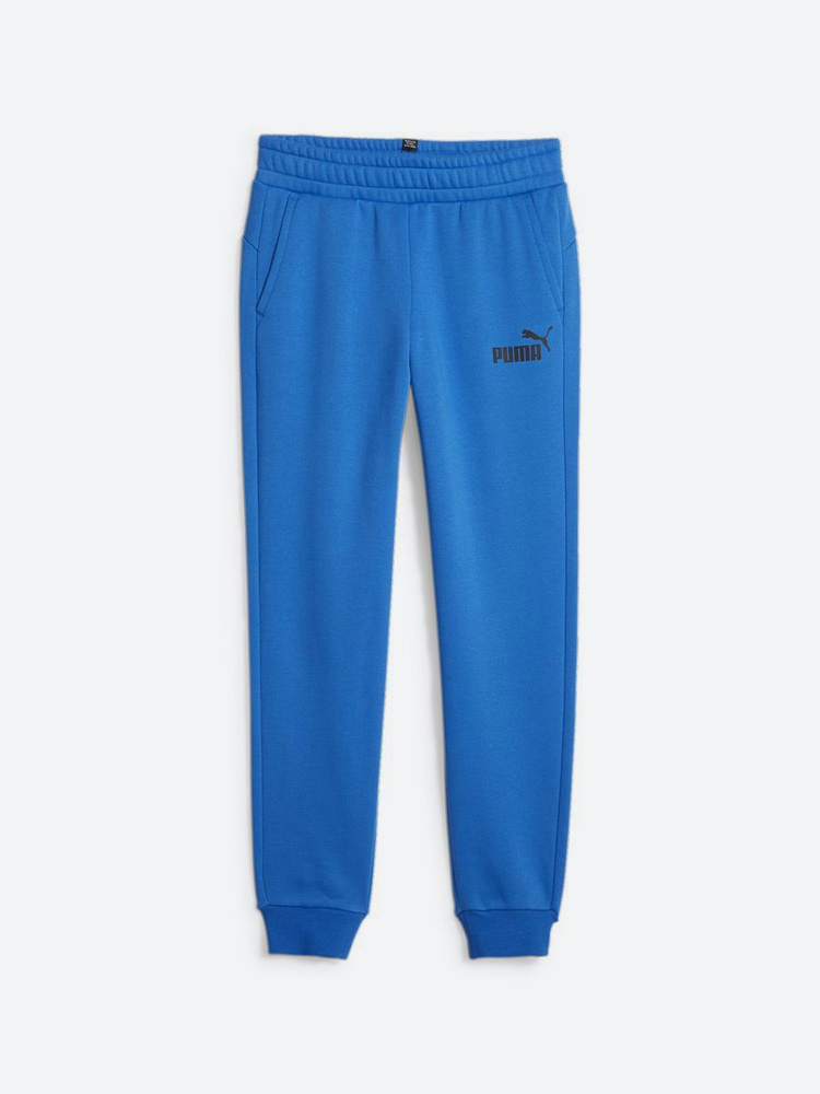 Брюки спортивные PUMA Ess Logo Pants #1