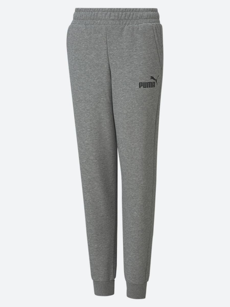 Брюки спортивные PUMA Ess Logo Pants #1