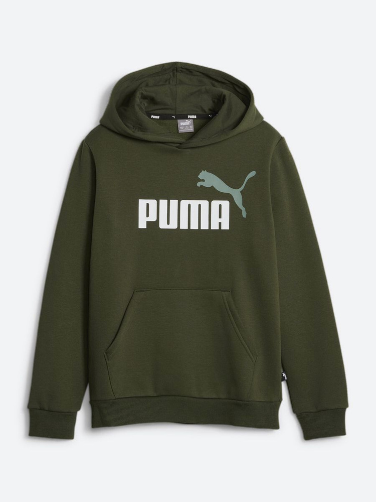 Худи PUMA Ess+ 2 Col Big Logo Hoodie #1