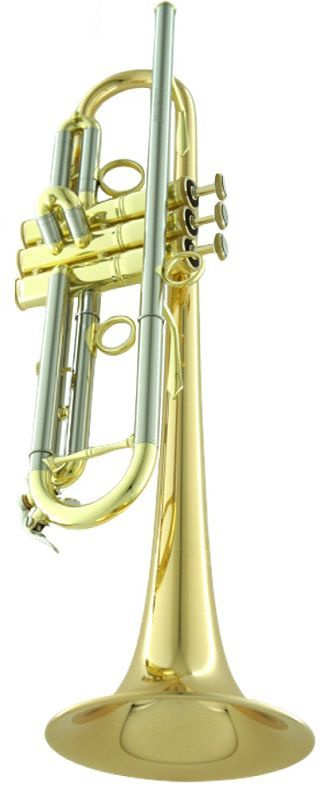 Труба Bb CarolBrass CTR-5280L-YST-Bb-L #1