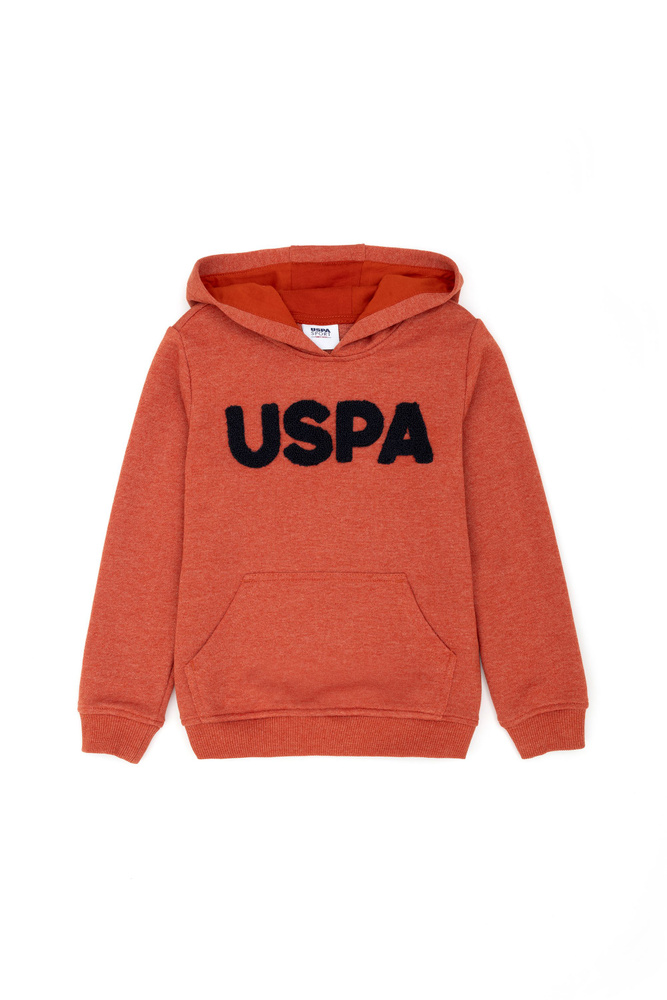 Худи U.S. POLO ASSN. #1