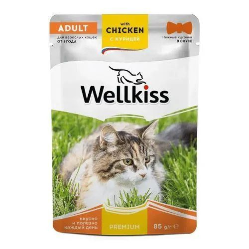 Влажный корм Wellkiss Adult с курицей в соусе для кошек 85 г (3 шт)  #1