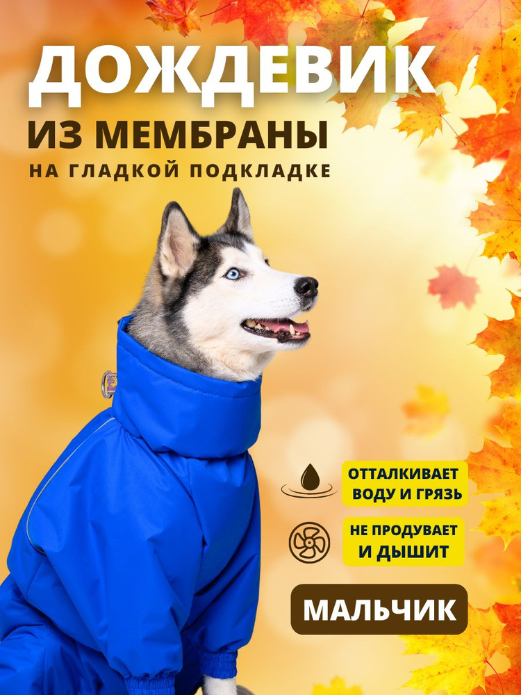 Комбинезон дождевик для собак средних пород STORM plus, 45+м (кобель), синий, 2XL+  #1