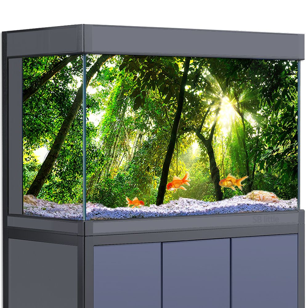 Фон для аквариума и террариума, Леса, деревья, растения - купить с ...