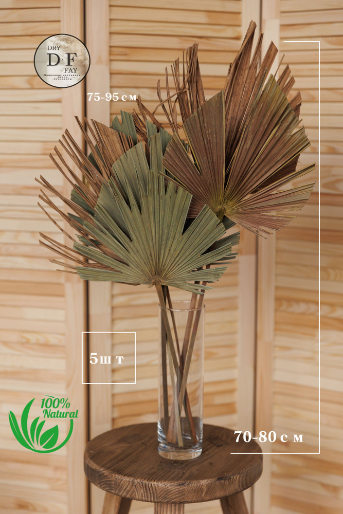 Сухоцветы DRY FAY, пальмовые листья, пальма, форчуна, декор, 5 шт., 50-60 см.  #1