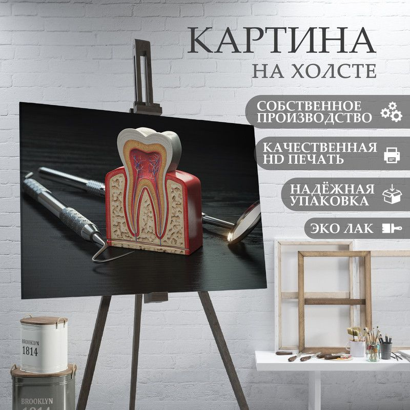 ArtPrintPro Картина "Зубы в стоматологию (19)", 70  х 50 см #1