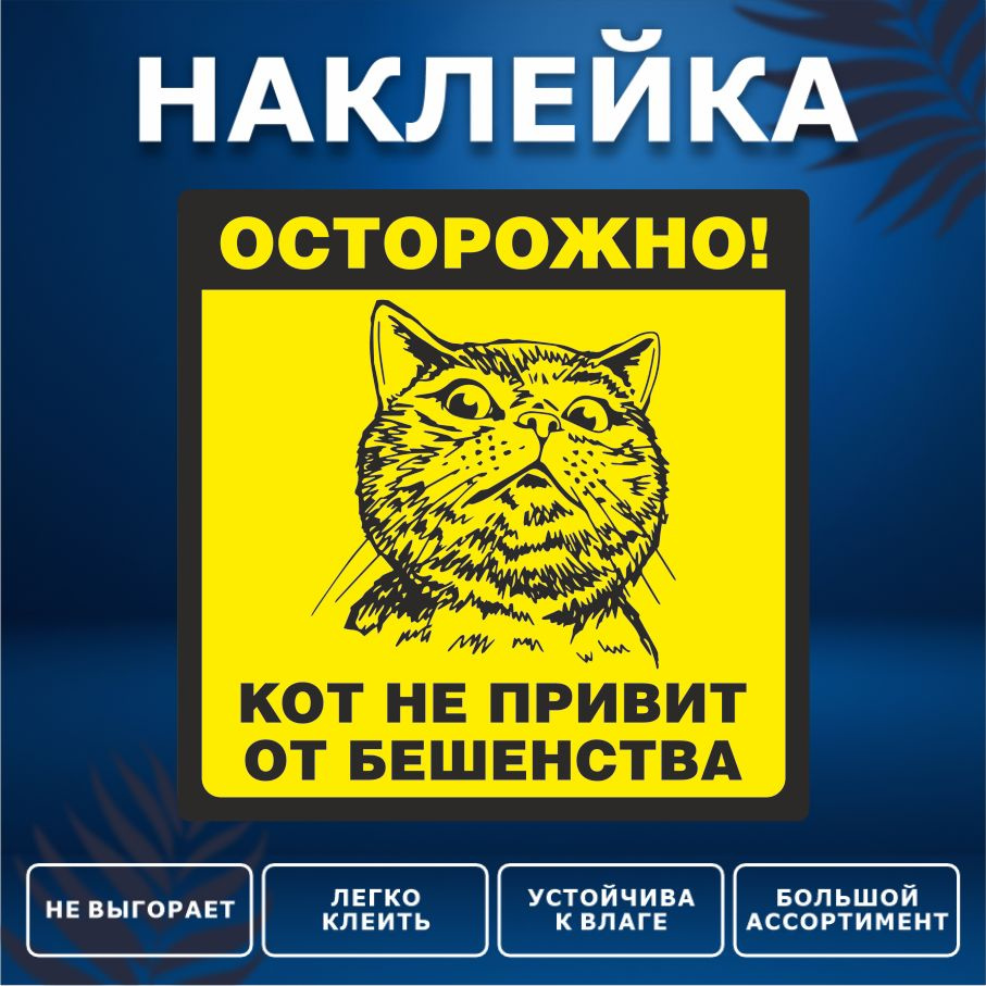 Наклейка, на забор, на дверь, ИНФОМАГ, Осторожно злой кот, 15см х 15см  #1