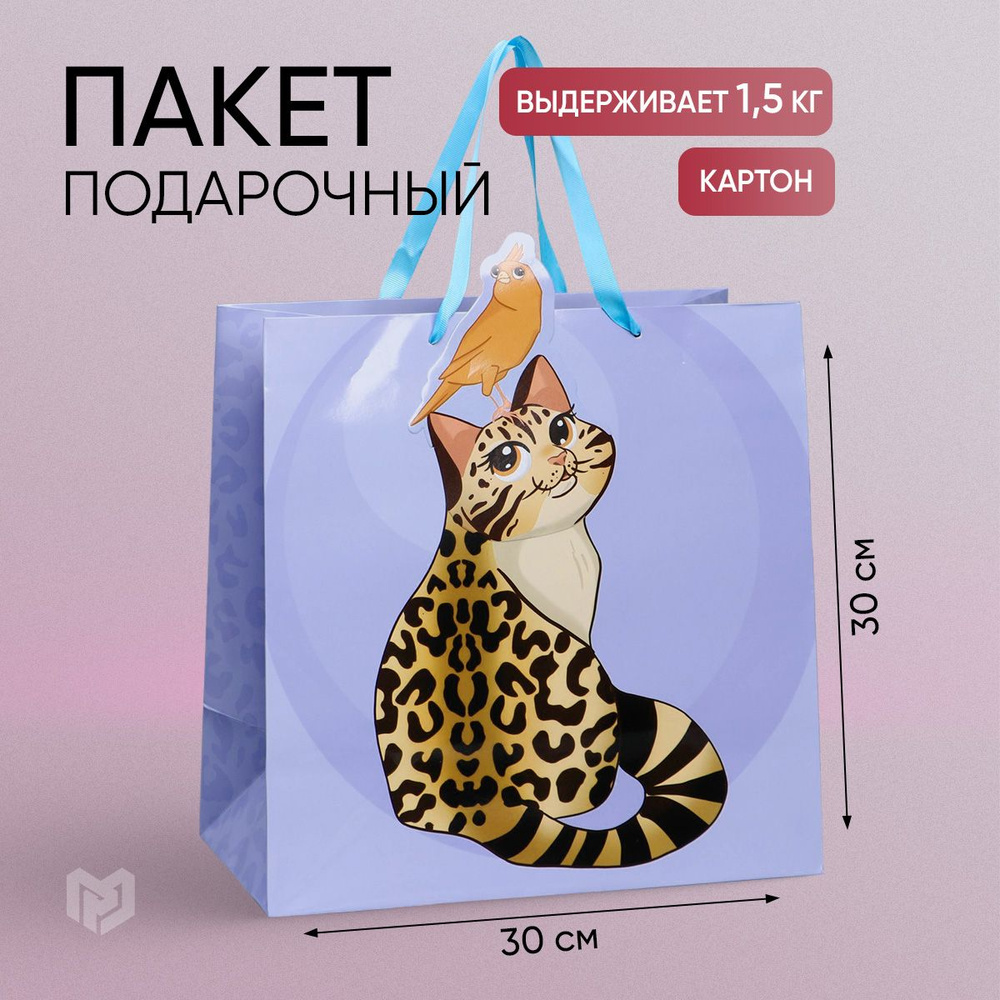 Пакет подарочный "Кот", 30 х 30 х 15 см #1