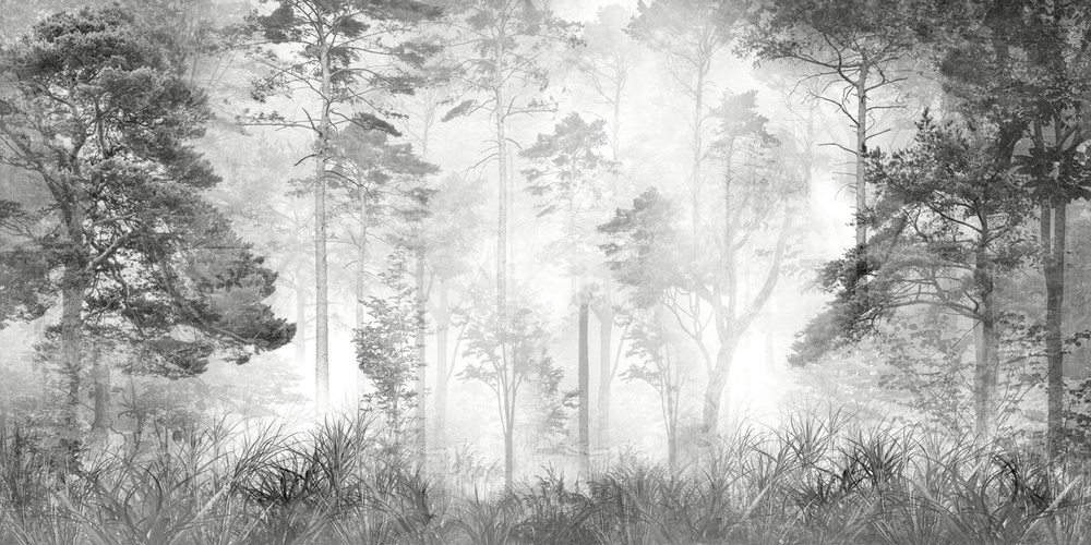 Фотообои флизелиновые на стену 3д GrandPik 10257 Лофт "Лес в тумане", 550х280 см(Ширина х Высота)  #1