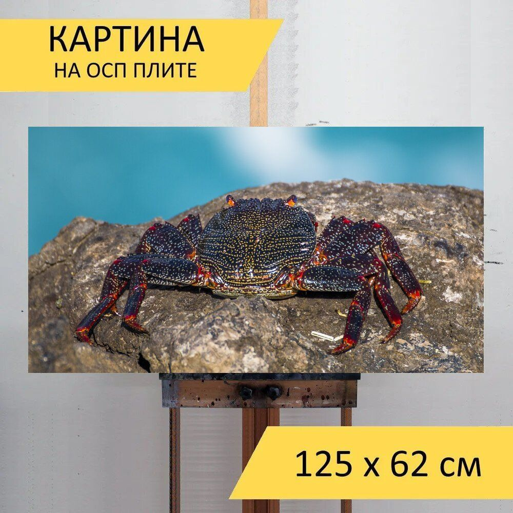 LotsPrints Картина "Краб, море, морские существа 21", 125  х 62 см #1