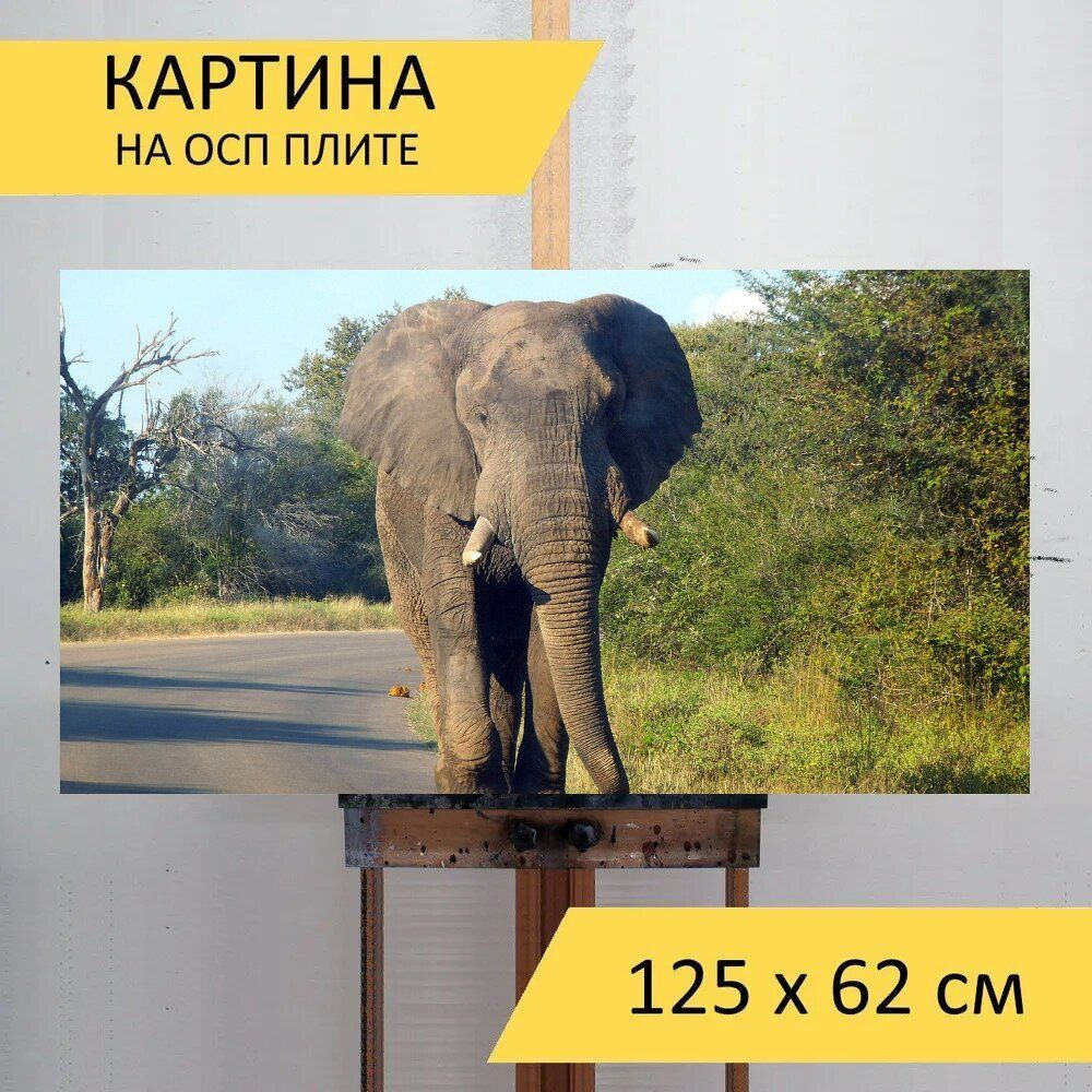 LotsPrints Картина "Слон, животное, африке 46", 125  х 62 см #1