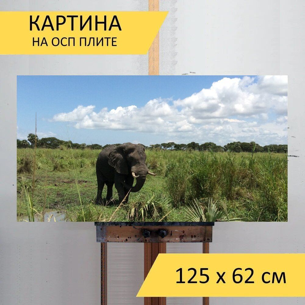 LotsPrints Картина "Слон, сафари, игровой драйв 54", 125  х 62 см #1