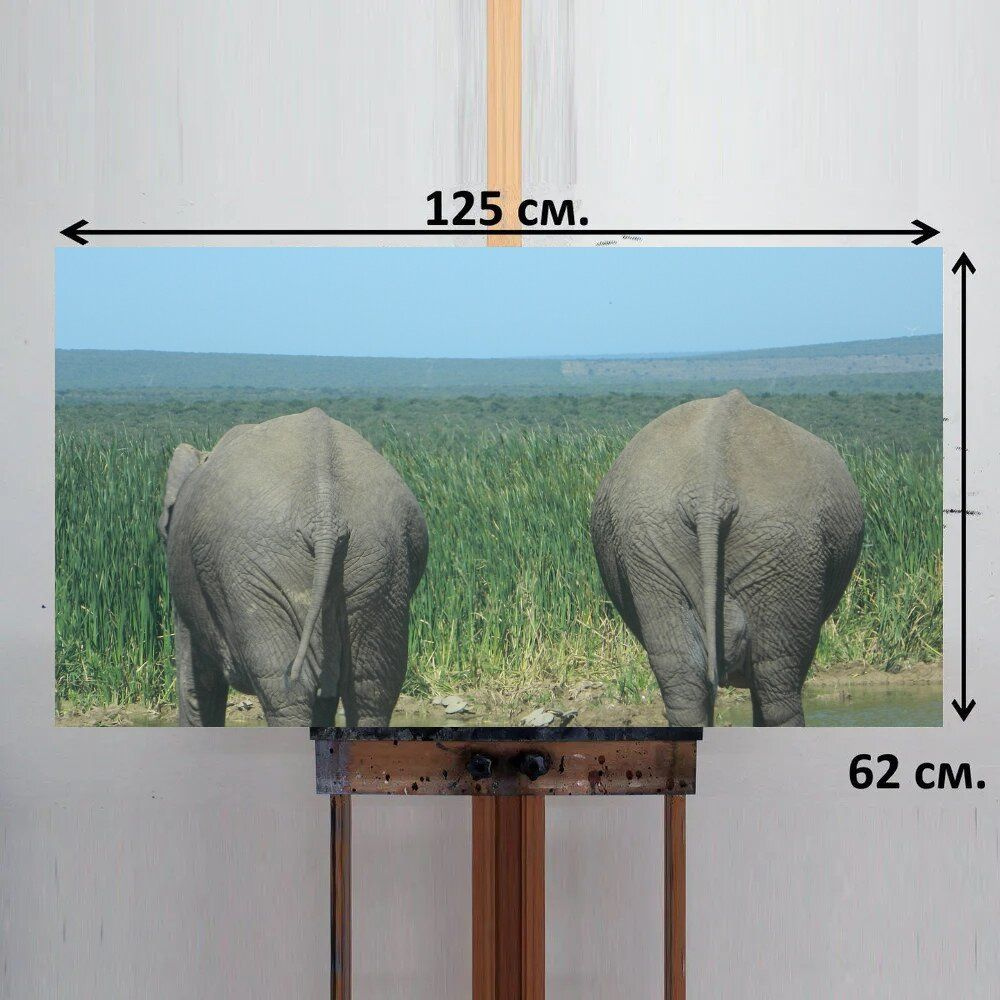 LotsPrints Картина "Слон, природа, южная африка 24", 125  х 62 см #1
