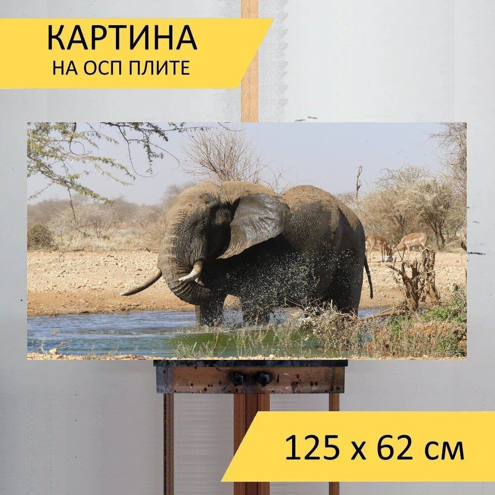LotsPrints Картина "Слон, намибия, африке 30", 125  х 62 см #1