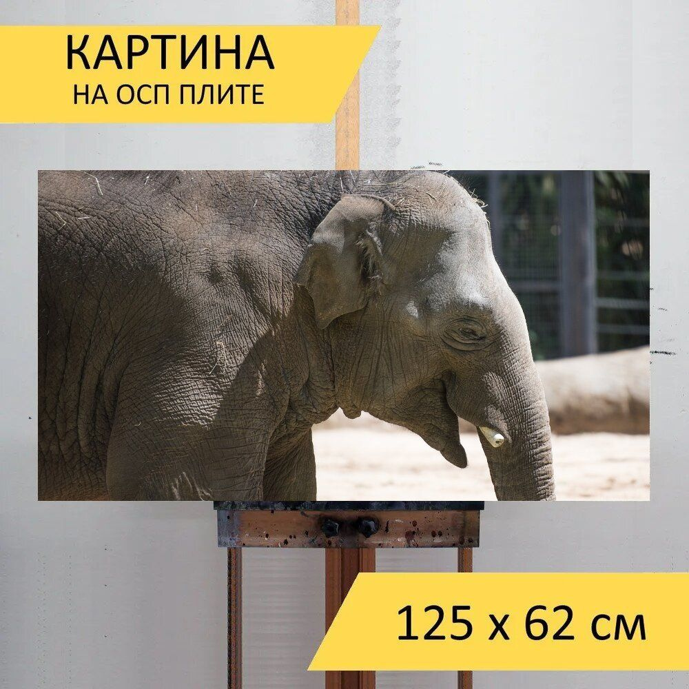 LotsPrints Картина "Слон, млекопитающее, дикая природа 39", 125 х 62 см  #1