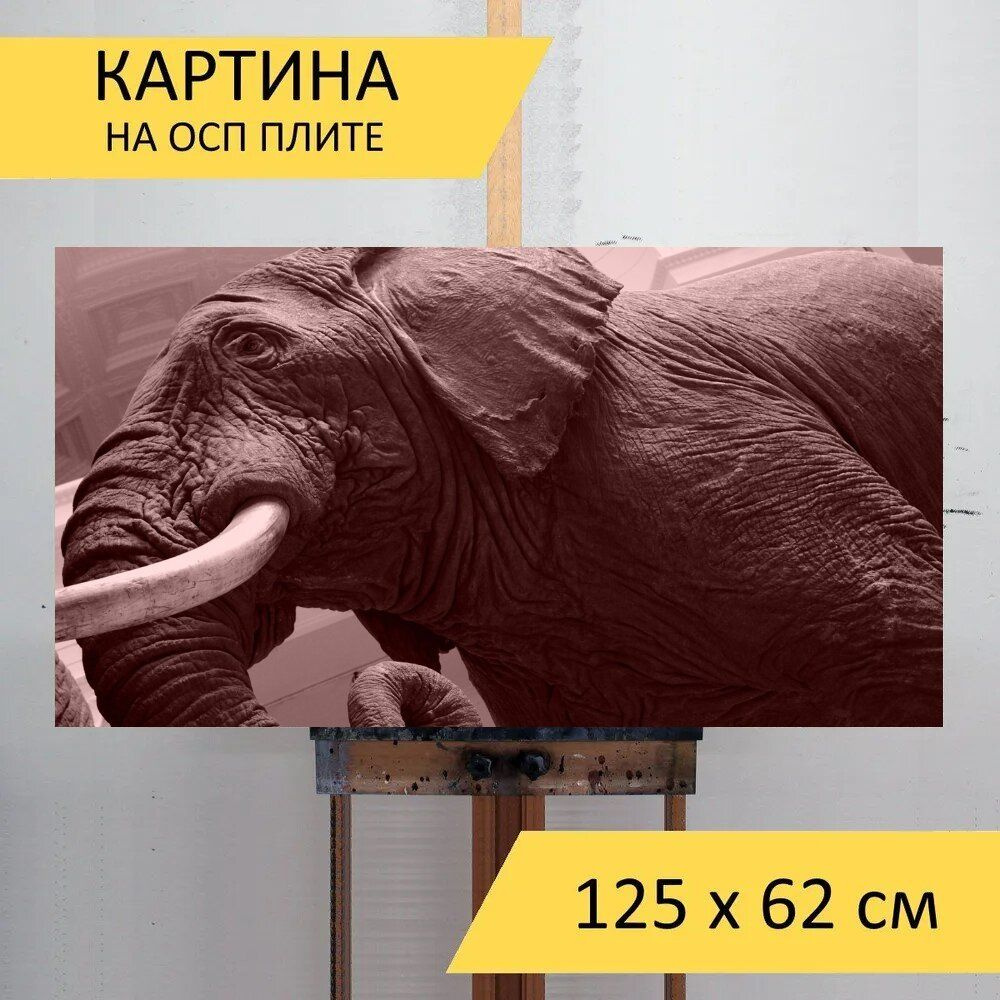 LotsPrints Картина "Слон, музей, животное 96", 125  х 62 см #1