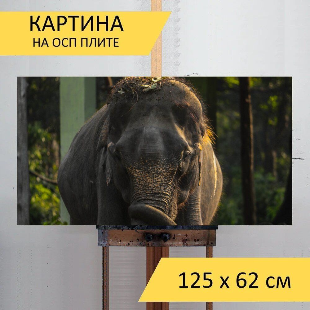 LotsPrints Картина "Слон, животное, национальный парк 96", 125 х 62 см  #1